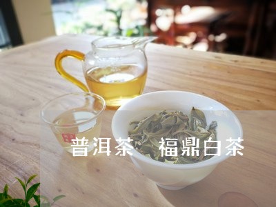 普洱茶 福鼎白茶/2023041127251